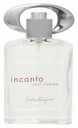 Salvatore Ferragamo Incanto Pour Homme
